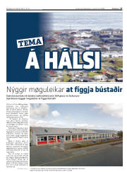 Síða 27