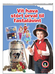 Síða 29