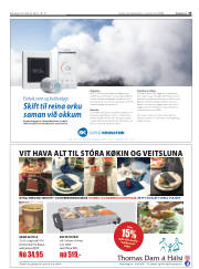 Síða 33