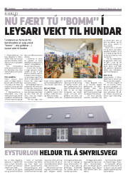 Síða 36