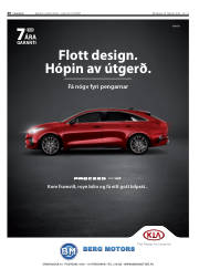 Síða 40