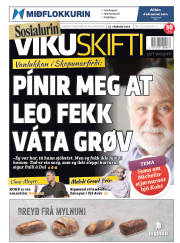 Síða 1