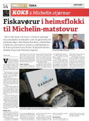 Síða 14