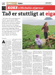 Síða 16