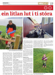 Síða 17