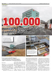Síða 12