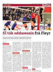 Síða 17