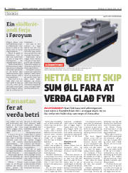 Síða 6