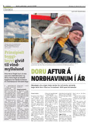 Síða 8