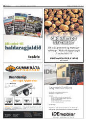 Síða 14