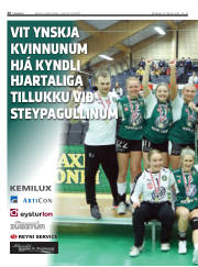 Síða 20