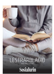 Síða 33
