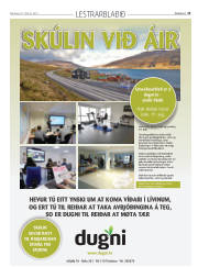 Síða 45
