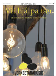 Síða 61