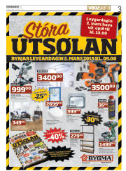 Síða 3