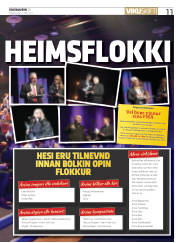 Síða 11