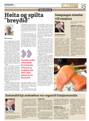 Síða 15