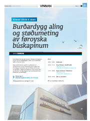 Síða 33