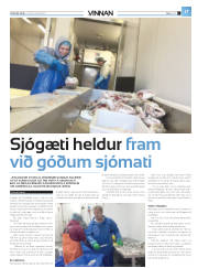 Síða 41