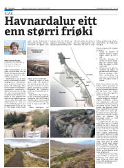 Síða 12
