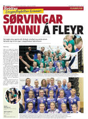 Síða 20