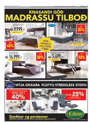 Síða 3