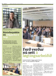 Síða 8