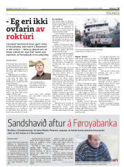 Síða 11