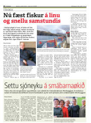 Síða 14