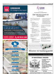 Síða 17