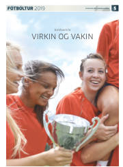 Síða 29