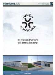 Síða 61