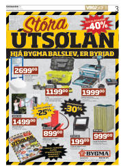 Síða 3