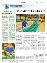Síða 18