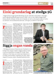 Síða 11