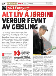 Síða 12