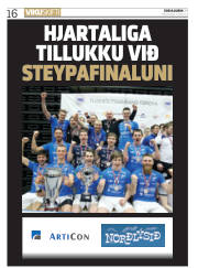 Síða 16
