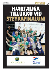 Síða 17
