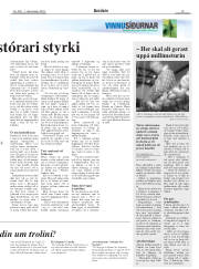 Síða 19