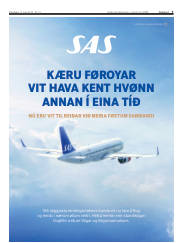 Síða 3