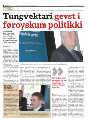 Síða 8