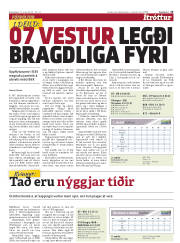 Síða 15