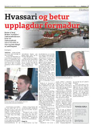 Síða 3