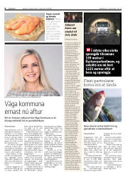 Síða 8