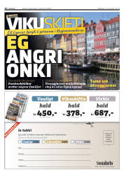 Síða 16