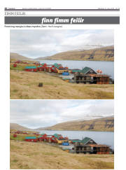 Síða 28