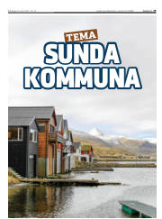 Síða 29
