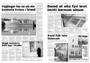 Síða 3