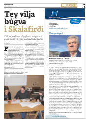 Síða 5