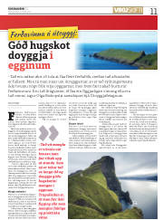 Síða 11